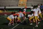 IMG 0137