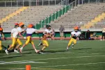 IMG 0011