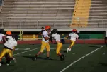 IMG 0143