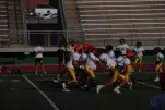 IMG 0042