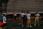IMG 0036