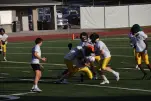 IMG 0179