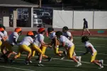 IMG 0071