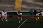 IMG 0047
