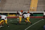 IMG 0142