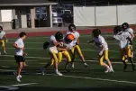 IMG 0177