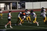 IMG 0178