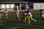 IMG 0175