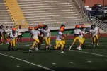IMG 0174