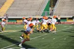 IMG 0014