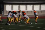 IMG 0123