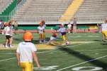IMG 0016