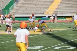 IMG 0017
