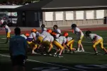 IMG 0185