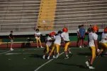 IMG 0157