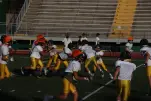 IMG 0132