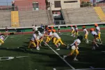 IMG 0113