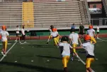 IMG 0102