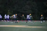 IMG 0012