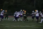 IMG 0127