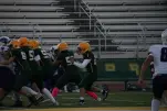 IMG 0087