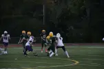IMG 0125