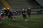 IMG 0345