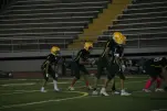 IMG 0433