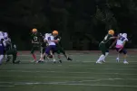 IMG 0018