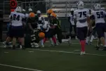 IMG 0110