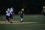 IMG 0137