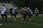 IMG 0097