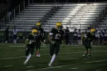 IMG 0454