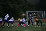 IMG 0022