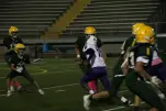 IMG 0396