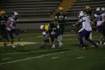 IMG 0511 2
