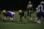 IMG 0252