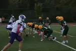 IMG 0032