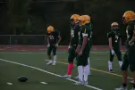 IMG 0029