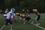 IMG 0033