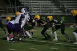 IMG 0331