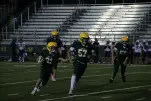 IMG 0455
