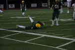 IMG 0310