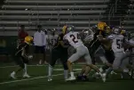 IMG 0217