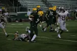 IMG 0546