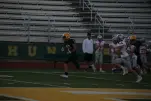 IMG 0087
