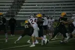 IMG 0219
