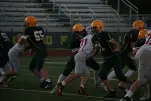 IMG 0106