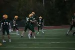 IMG 0045