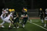 IMG 0401